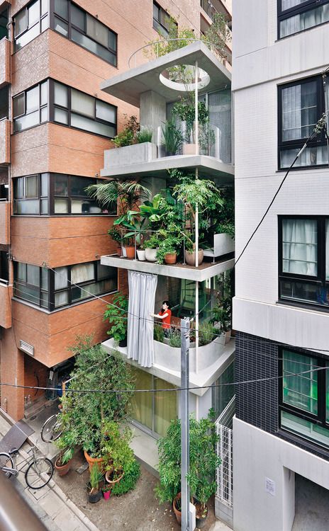 Ryue Nishizawa - Vertical garden house, Tokyo 2013. Via, photos (C .