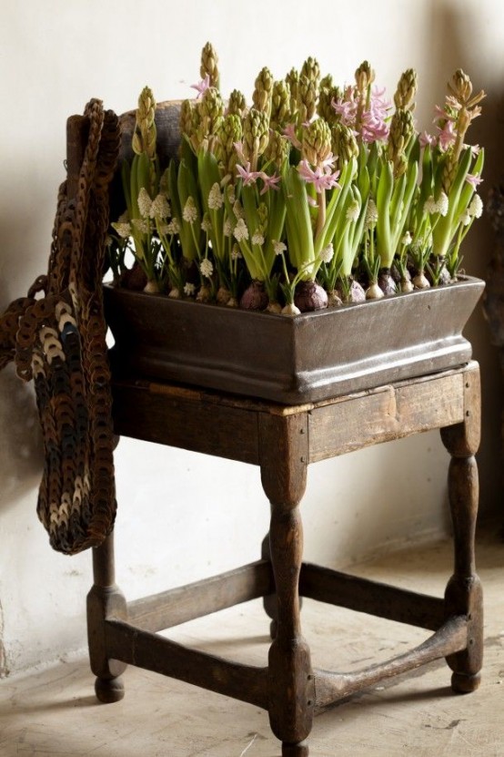 37 Hyacinths Décor Ideas To Breathe Spring In - DigsDi