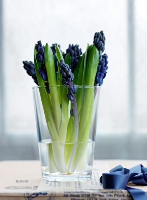 Hyacinths Decor Ideas To Breath Spring In | Spring decor, Spring .
