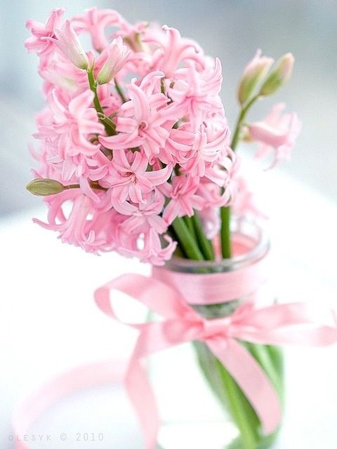Hyacinths Decor Ideas To Breath Spring In | Pink flowers .