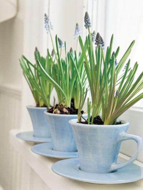 37 Hyacinths Décor Ideas To Breathe Spring In - DigsDi