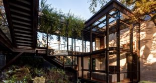 Living Amidst The Forest: Glazed Tepozcuautla House - DigsDi