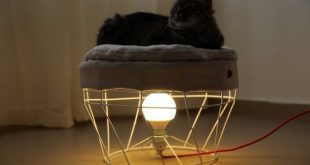 Modern And Smart Duet Furniture Line For Cat Owners - DigsDi
