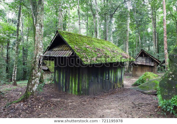 Abandoned Mosscovered Cabin Tropical Jungle Stock Photo (Edit Now .