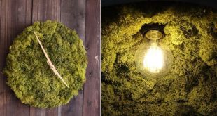 Wall Clock & Ceiling Lamp Made From Natural Mo