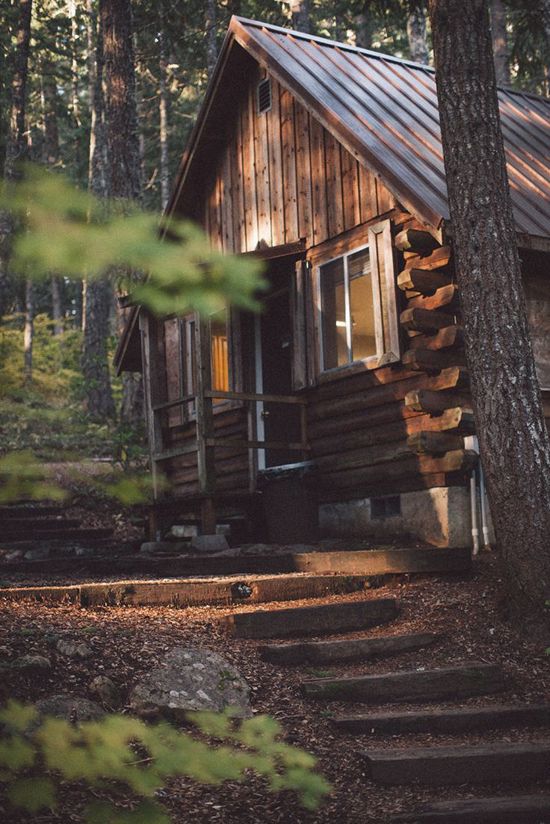 Weekend coundown | Forest cabin, Rustic house, Cabins in the woo