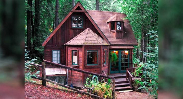 Meet 'Dreamcatcher' — the rustic forest cabin with a surprise on .