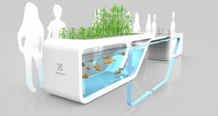 Self-Sustaining Future Kitchen With Fish And Plants - DigsDi