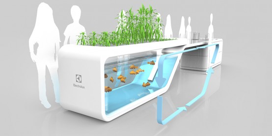 Self-Sustaining Future Kitchen With Fish And Plants - DigsDi