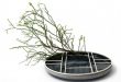 Soe Cups And Ikebana Bowls For Flower Arrangements | DigsDigs .