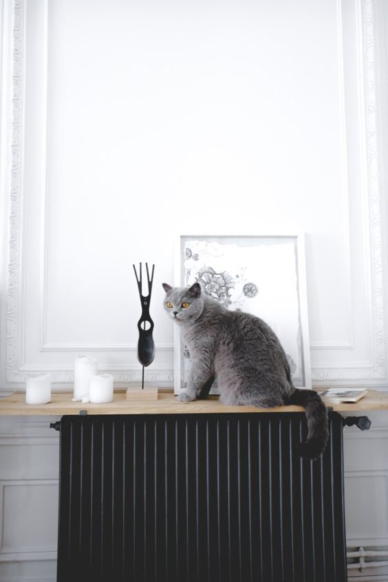 a Nordic space with a black radiator and a light-stained shelf with decor and candles plus a cat sitting there