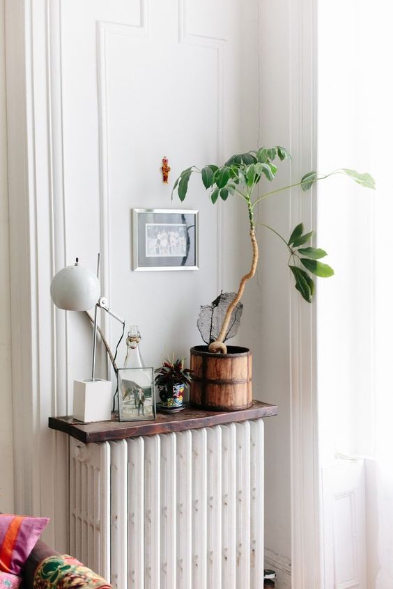 a small white radiator with a dark-stained shelf and some decor and plants on it is a cool solution for a modern space
