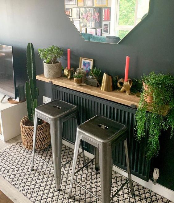 a soot radiator covered with a shelf used as a plant stand and decor stand is a lovely idea for a modern space
