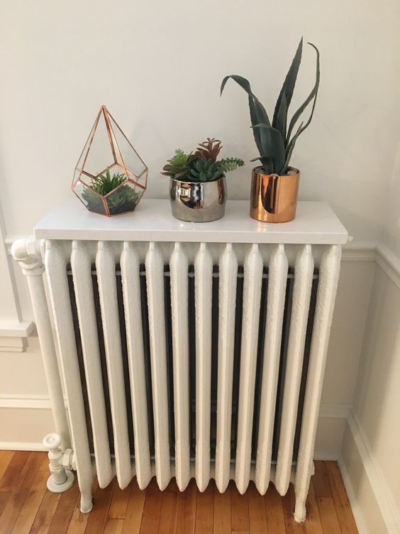 a white radiator with a white shelf on top that is used as a plant display is a cool piece that isn't an eye sore in the space