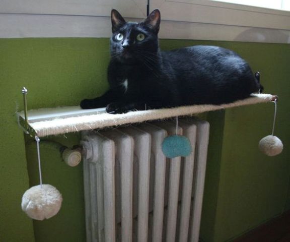 a cat shelf and play zone is installed over the radiator to keep the kitty warm is a smart and cool DIY