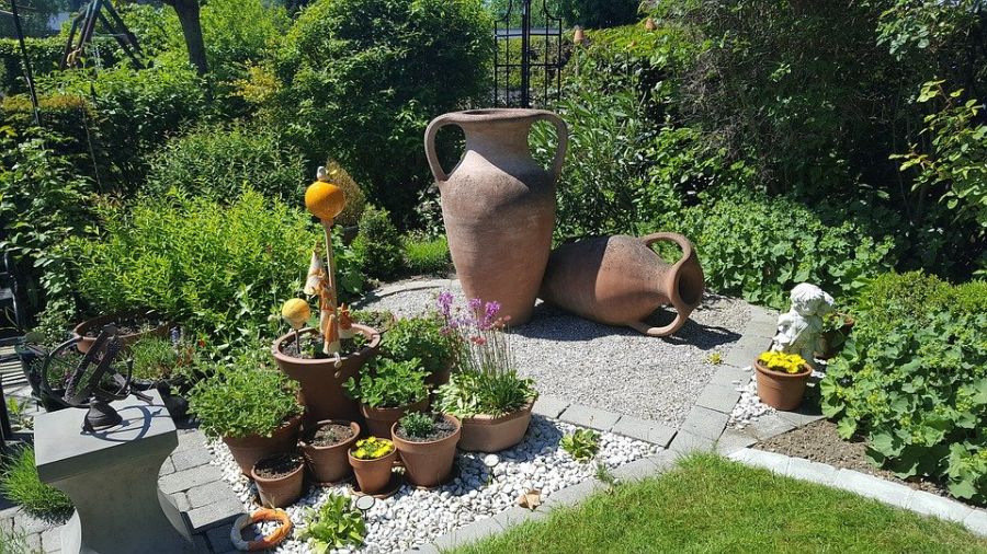 Terracotta vases and potted plants in the backyard