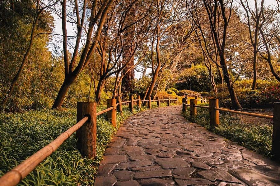 Stone path, bamboo fence, railings, wooden posts, public garden 