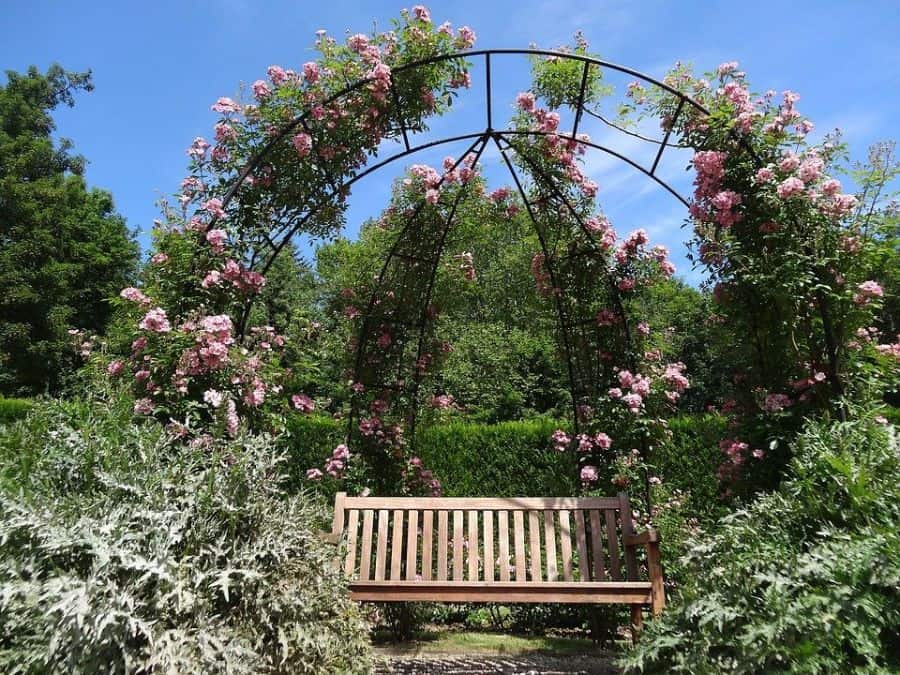 Garden arch with pink flowers, wooden garden bench 