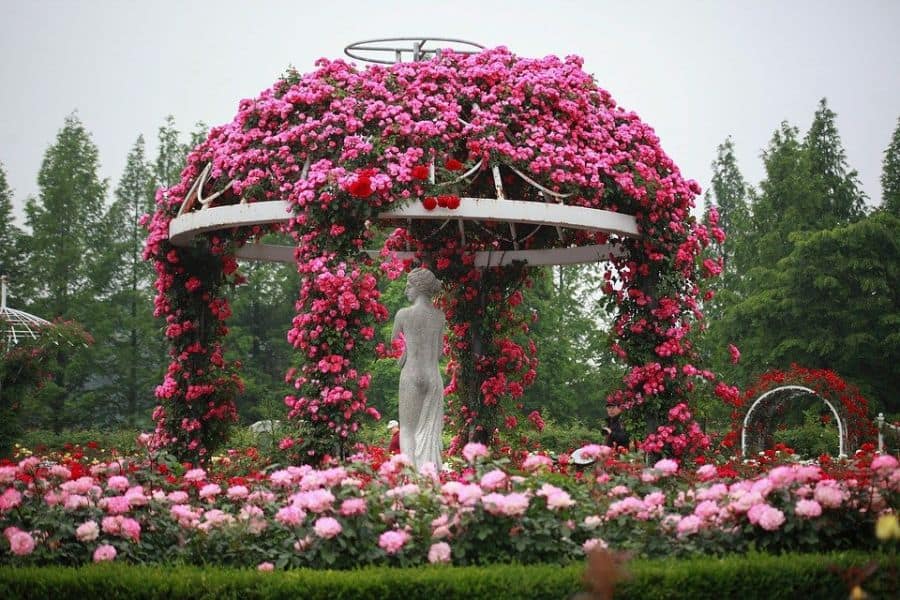 White pavilion with pink flowers, white stone statue 