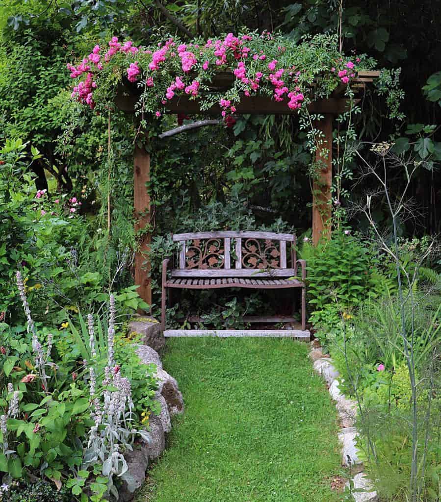 Vintage backyard bench wooden gazebo with vine plants and pink flowers 