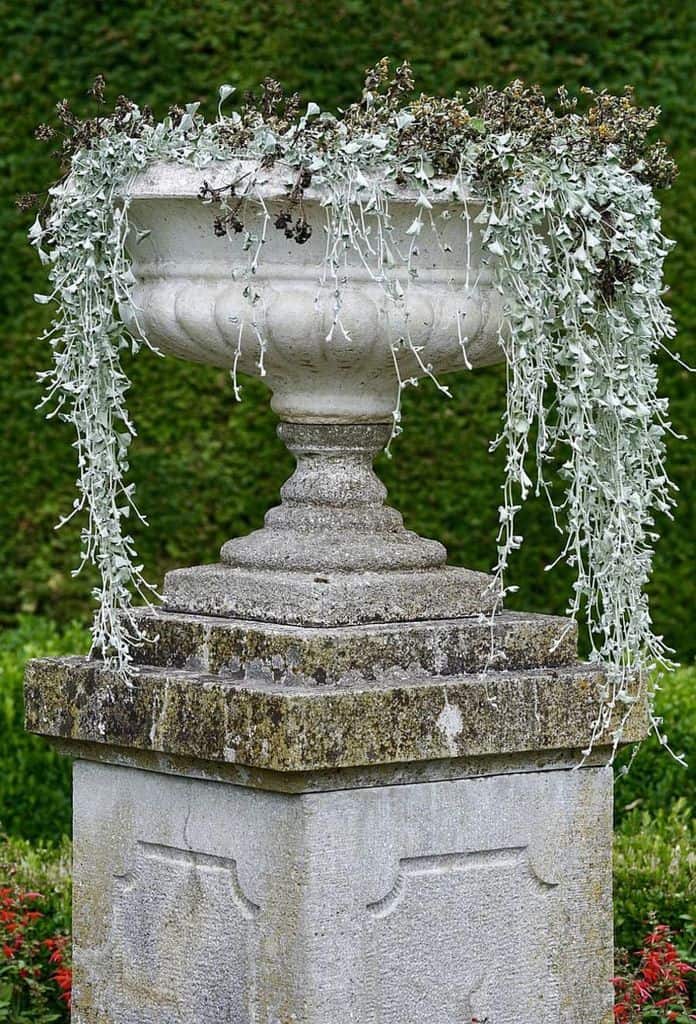 White stone garden statue plants 