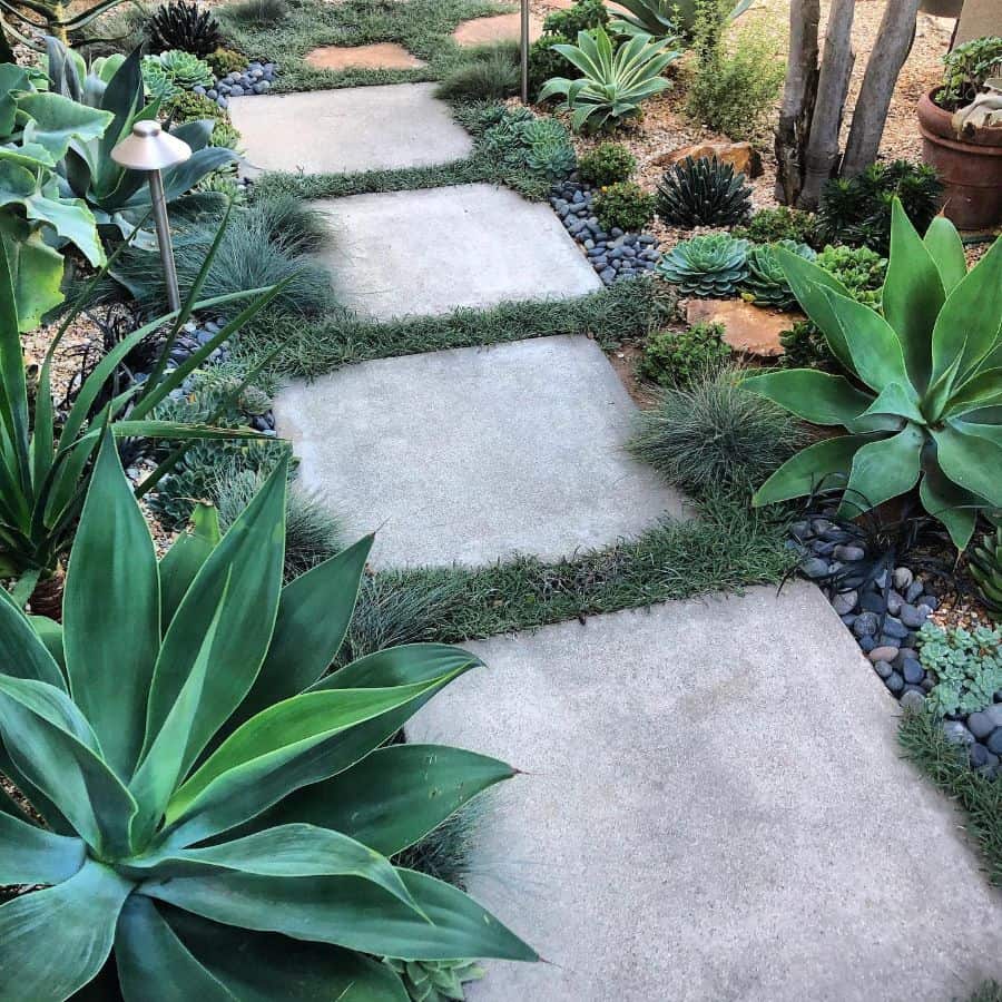 gray stone paving garden path succulents 