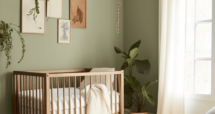 Baby Nursery Rooms