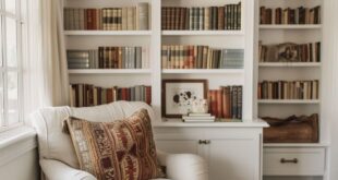 Built In Bookshelves Ideas