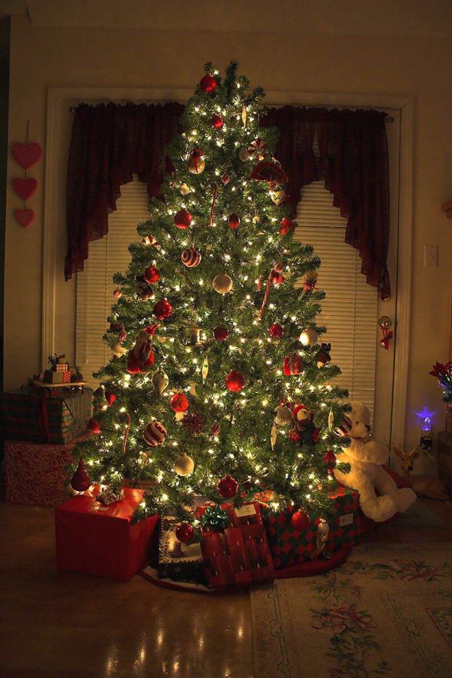 Christmas Tree Festive Evergreen Symbol of Joy and Tradition