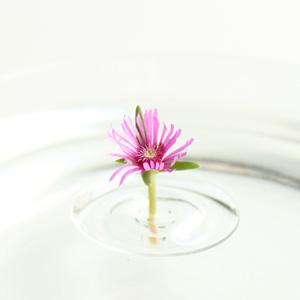 Floating Ripple Vases Stunning Decorative Vases with a Floating Design