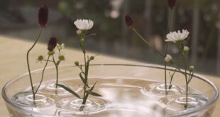 Floating Ripple Vases