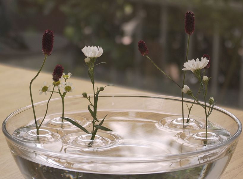 Floating Ripple Vases Unique and Elegant Vases That Create a Mesmerizing Ripple Effect