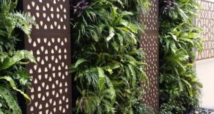 House Vertical Garden