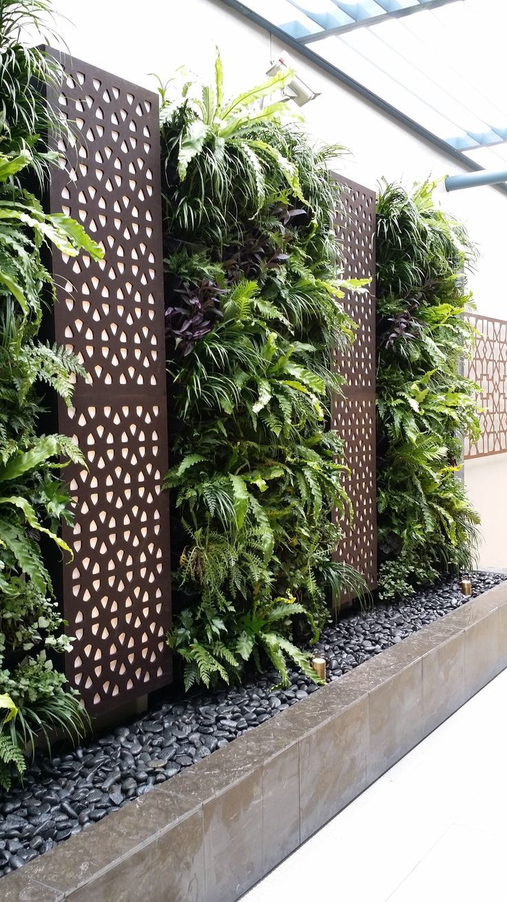 House Vertical Garden How to Create a Stunning Vertical Garden in Your Home