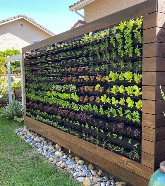 House Vertical Garden Transform Your Living Space with a Stunning Vertical Green Oasis