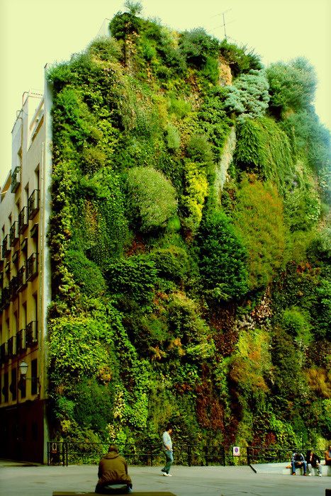 How to Create a Stunning Vertical Garden in Your House