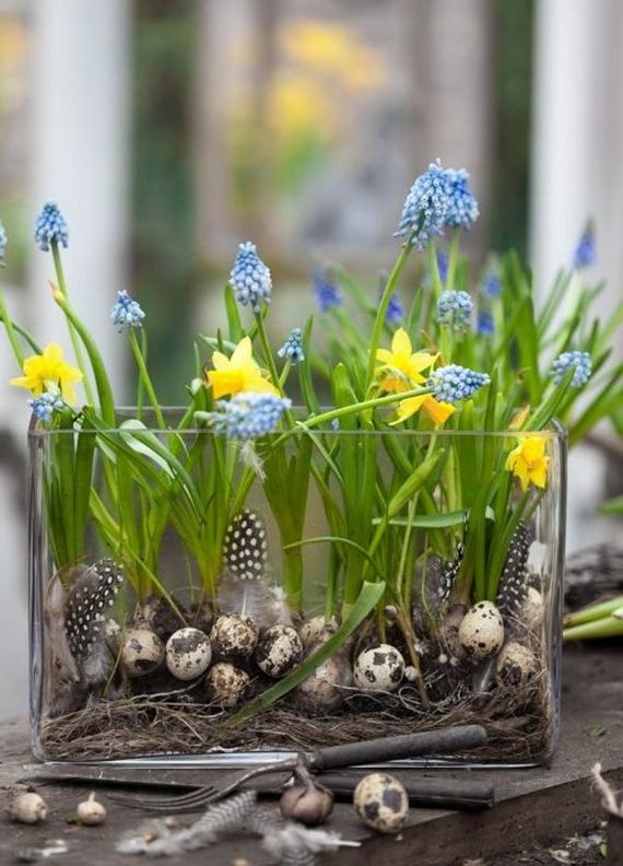 Hyacinths Decor Ideas Elegant Ways to Incorporate Hyacinths in Your Home Décor