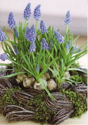 Hyacinths Decor Ideas Stunning Ways to Incorporate Hyacinths in Your Home Decor