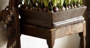 Hyacinths Decor Ideas