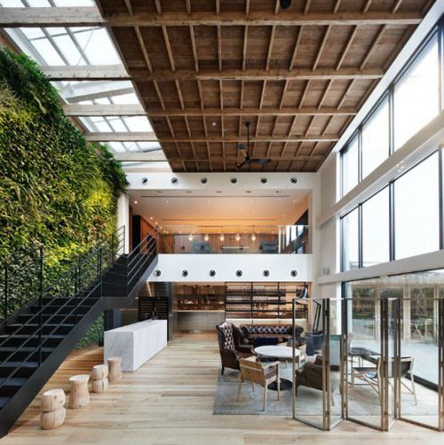 Indoor Living Wall Designs Transform Your Home with Stunning Green Walls for Indoor Spaces