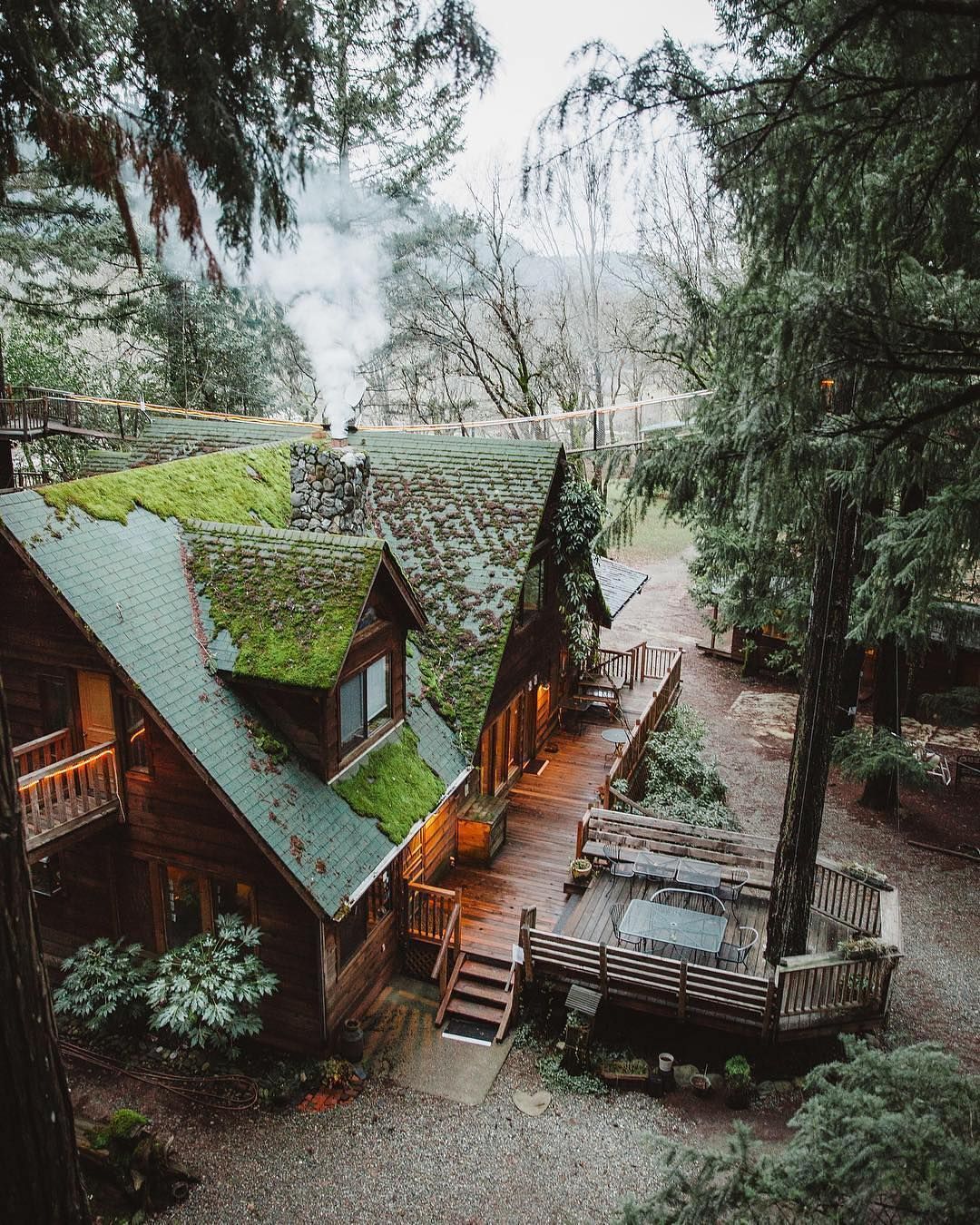 Moss Covered Cabin Abandoned Shelter Hidden by Lush Green Moss