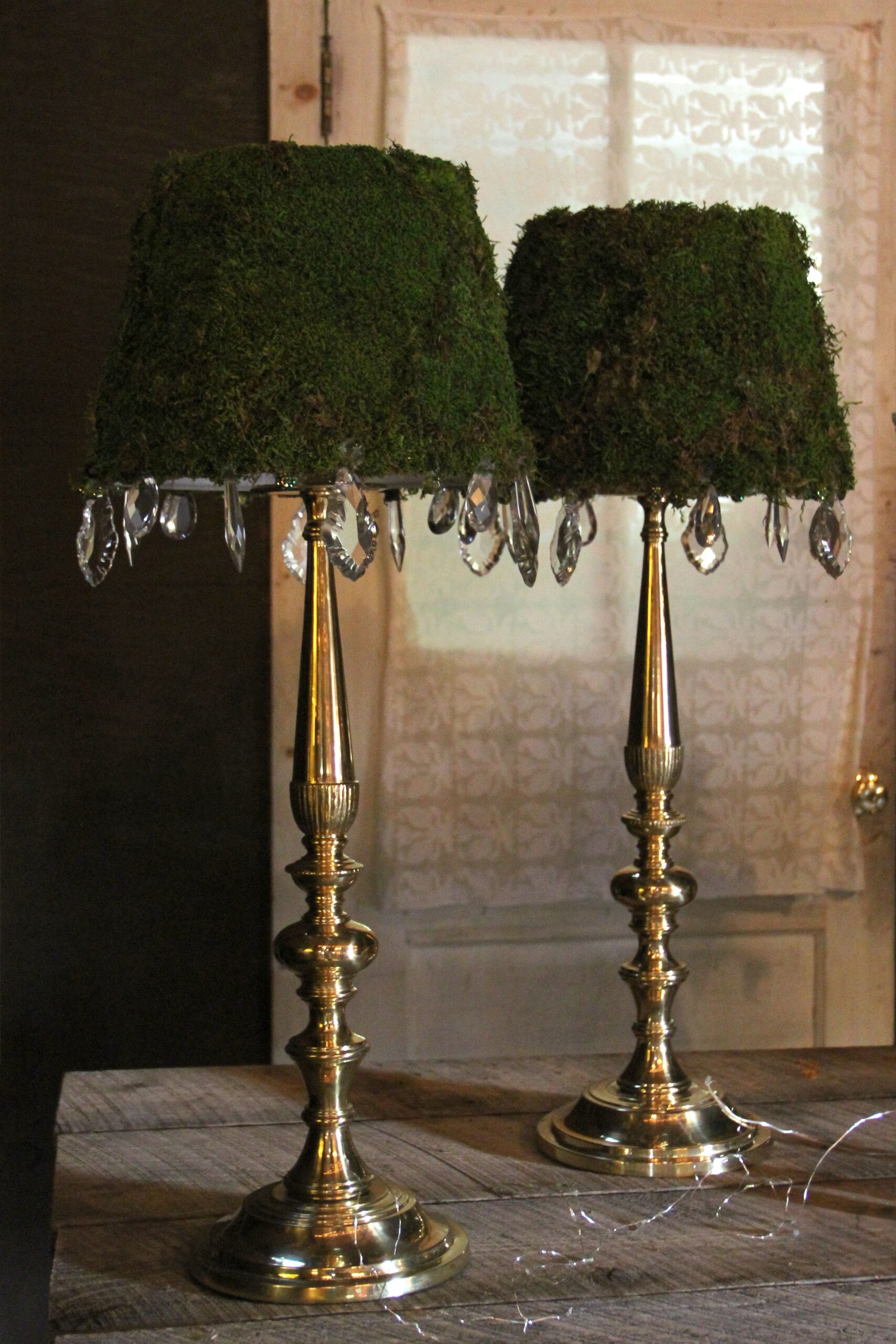 Moss Lamp Transform Your Living Space with a Natural Touch of Green Beauty