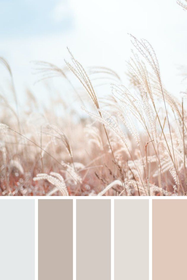 Neutral Color Palette Home Elegant and Serene Home Decor in Neutrals