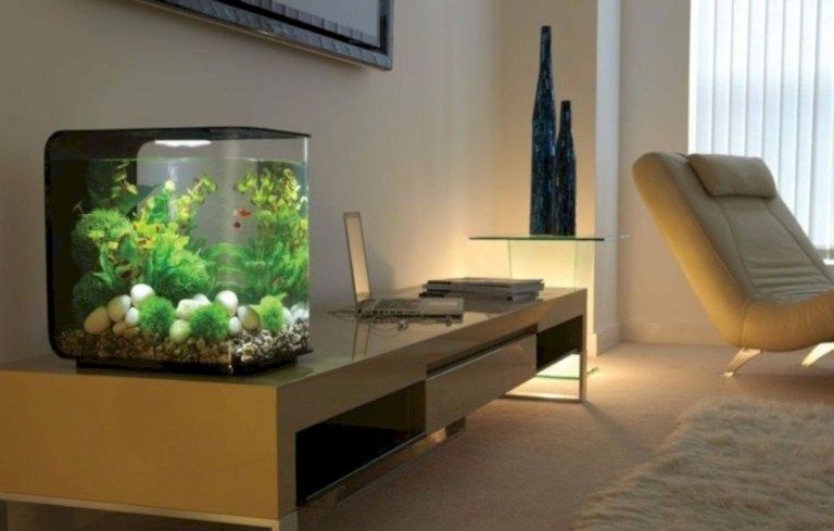 Original Aquariums In Home Unique Ways to Incorporate Aquariums in Your Home Décor