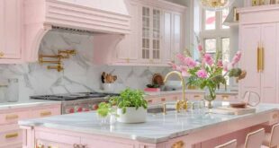 Pink Kitchen Design