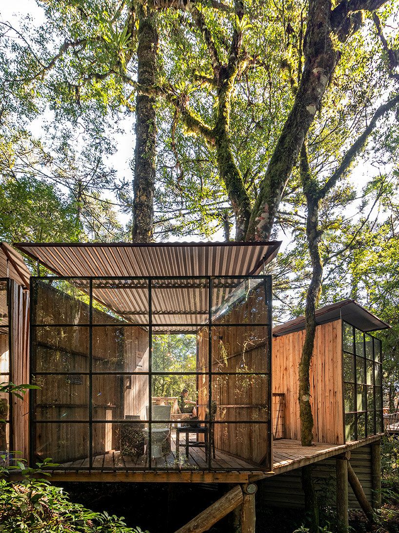 Rustic Forest Cabin Peaceful Getaway in the Woods: A Cozy Retreat Nestled Among the Trees