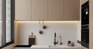 Stylish Minimalist Kitchen